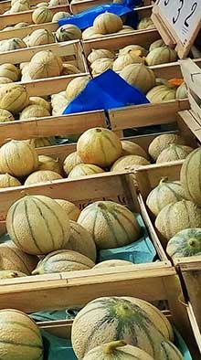 le-marche-de-st-brevin-les-pins