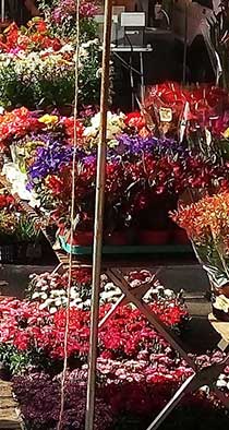 le-marche-de-st-brevin-les-pins