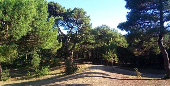 st-brevin-les-pins
